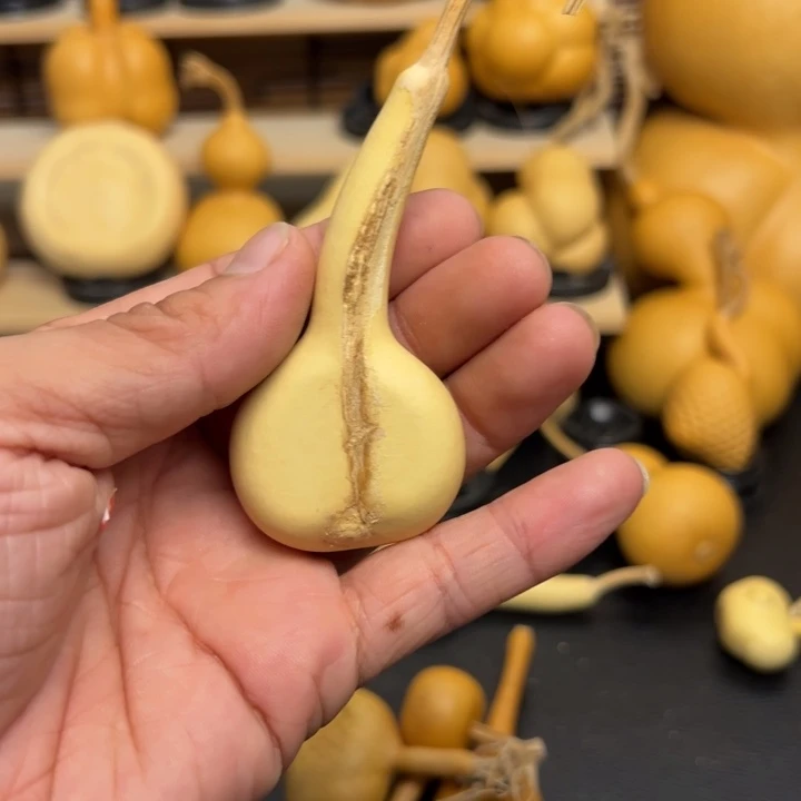 向*156555566686699669