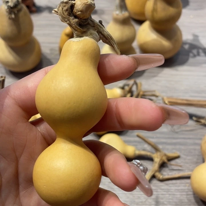 家**宝粗嘴葫芦粗嘴葫芦