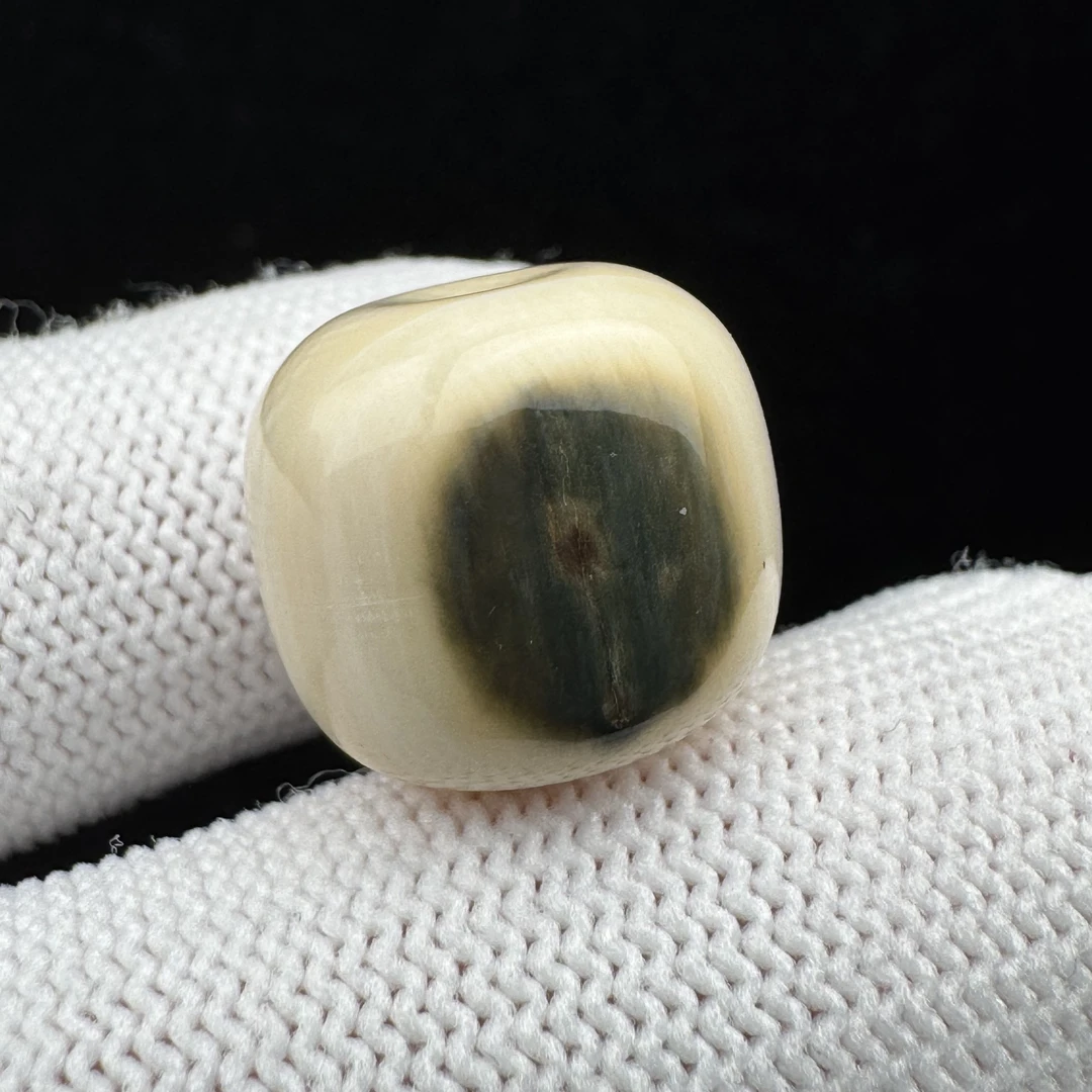 D5886天然猛犸牙 蓝眼睛老型 15.5*13.8mm支持鉴定 假一罚四