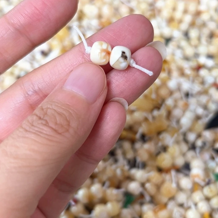 裸石蜜蜡未镶嵌7.5mm一对