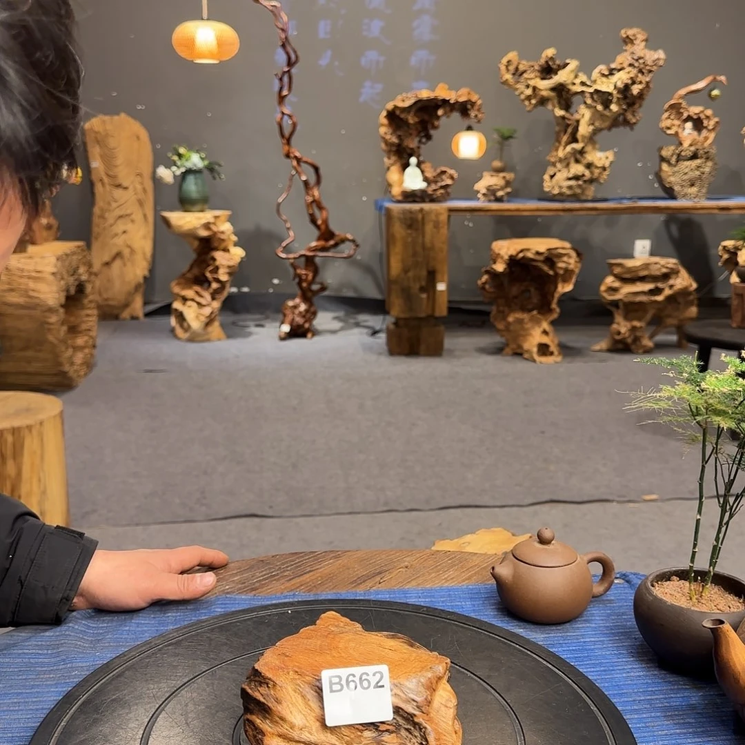 木e*.一物一拍实物实拍662