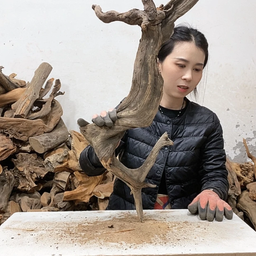 【闪购商品】柏木闻**香我们都是好孩子
