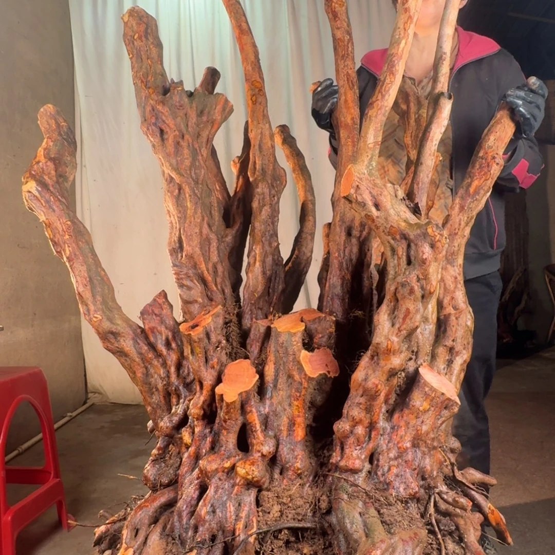 辰***宝777777777888888888