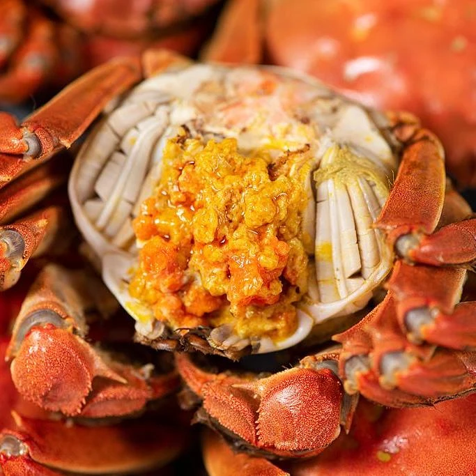 【4.5-4.2两公蟹+3.5-3.2两母蟹 】活蟹 10只装 顺丰京东苏州产地直发大闸蟹