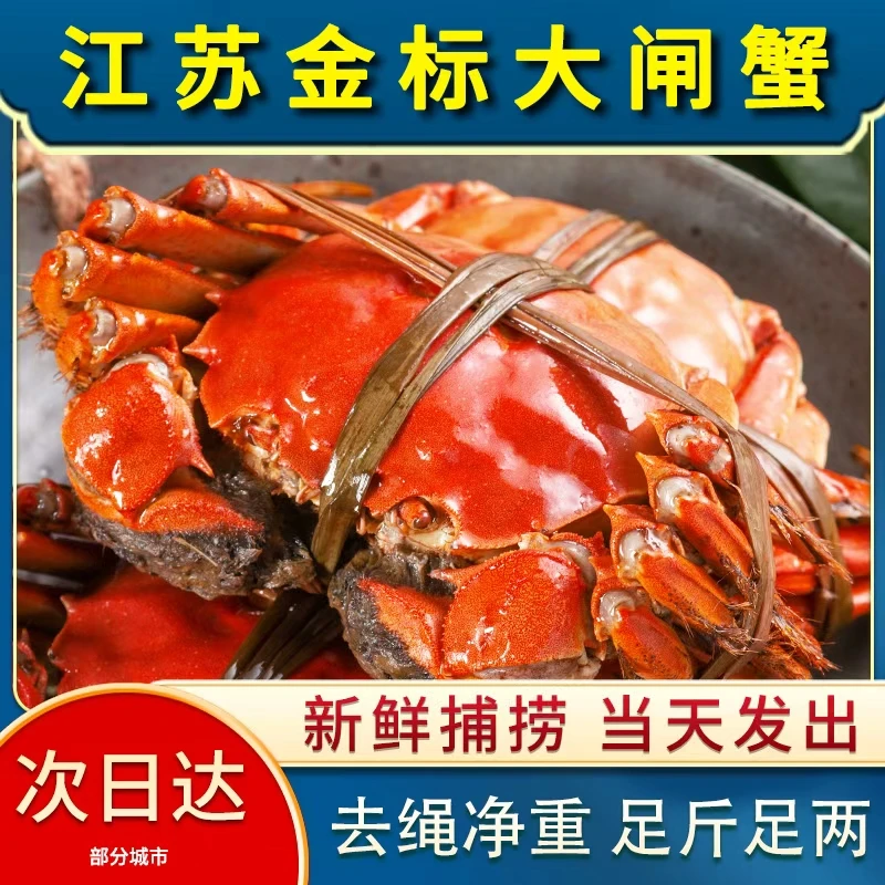 1【活蟹现发】江苏精品大闸蟹 公4.5-4.2母3.5-3.2两对半 到手10只