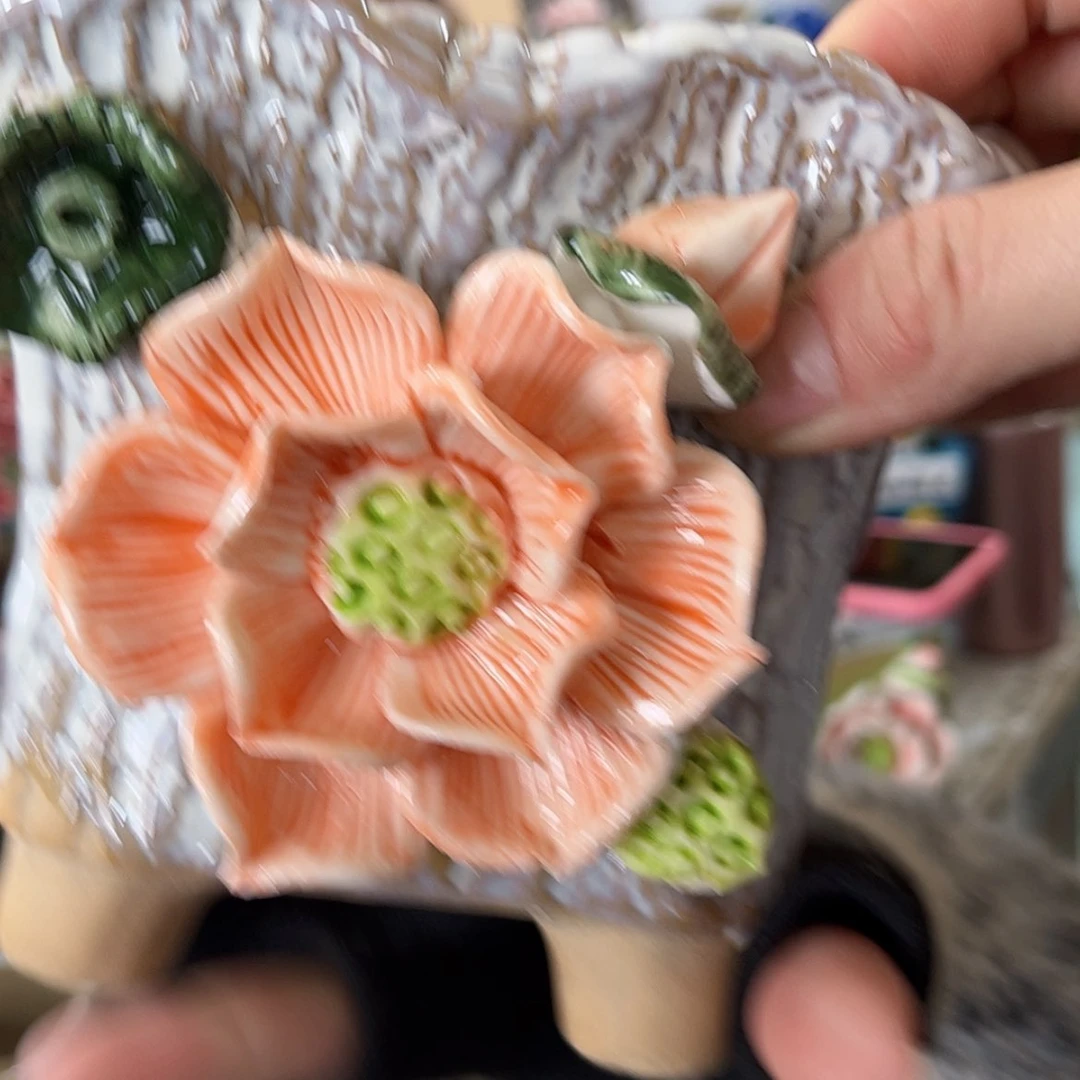 【闪购商品】红陶福利