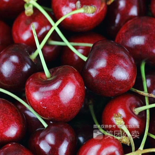 锁子扣JJ智利海运拉宾丝车厘子净重5斤 内附果径卡