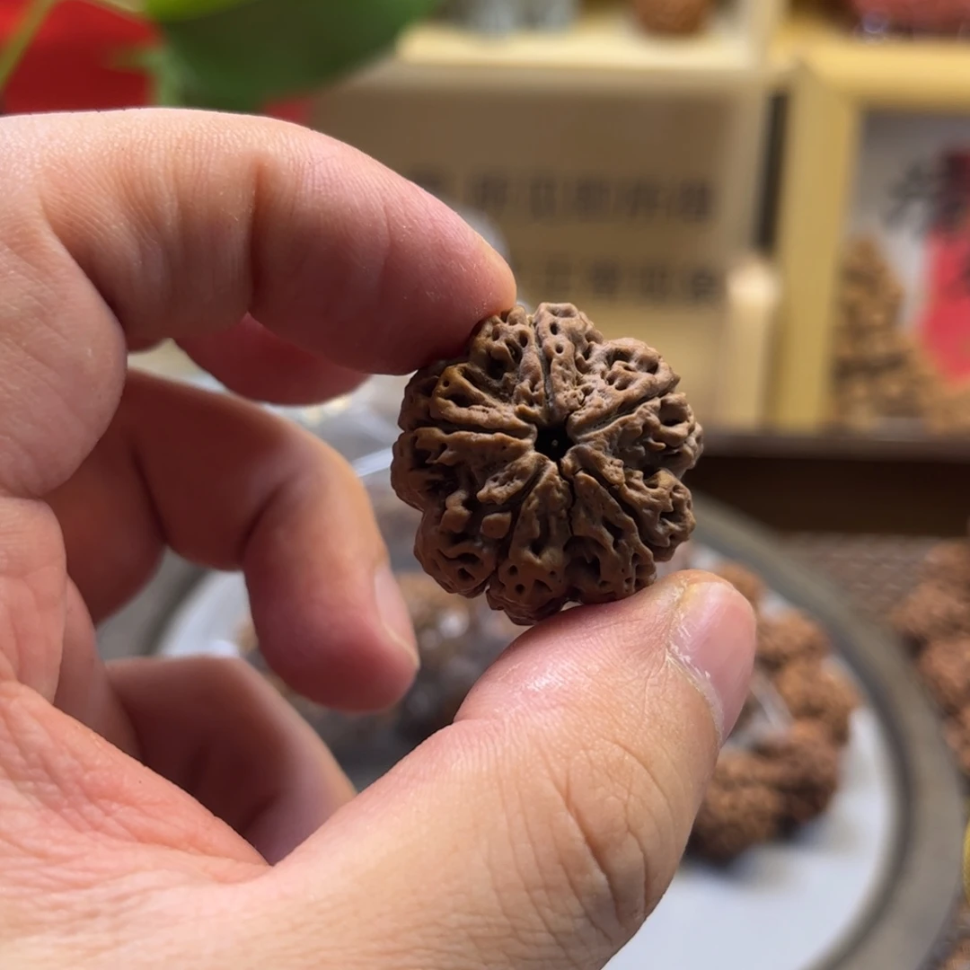 H***计手串金刚菩提矮桩梅花蜂王单籽