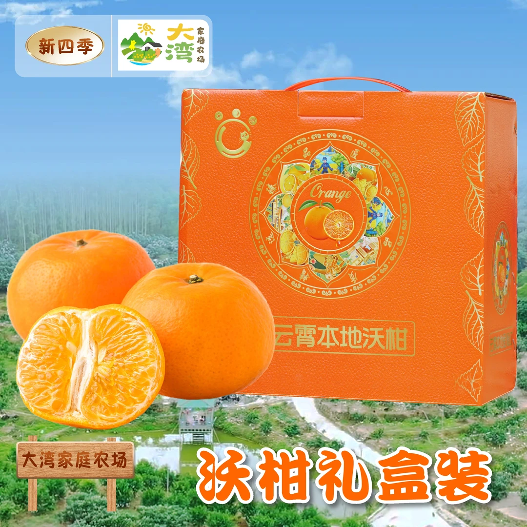 【小果10斤装礼盒】云霄本地沃柑