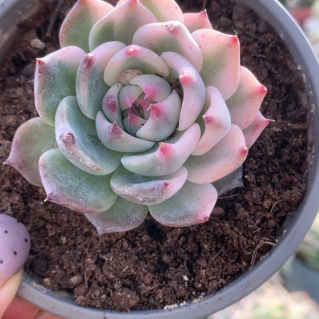 067哈哈哈哈哈哈哈哈哈哈哈