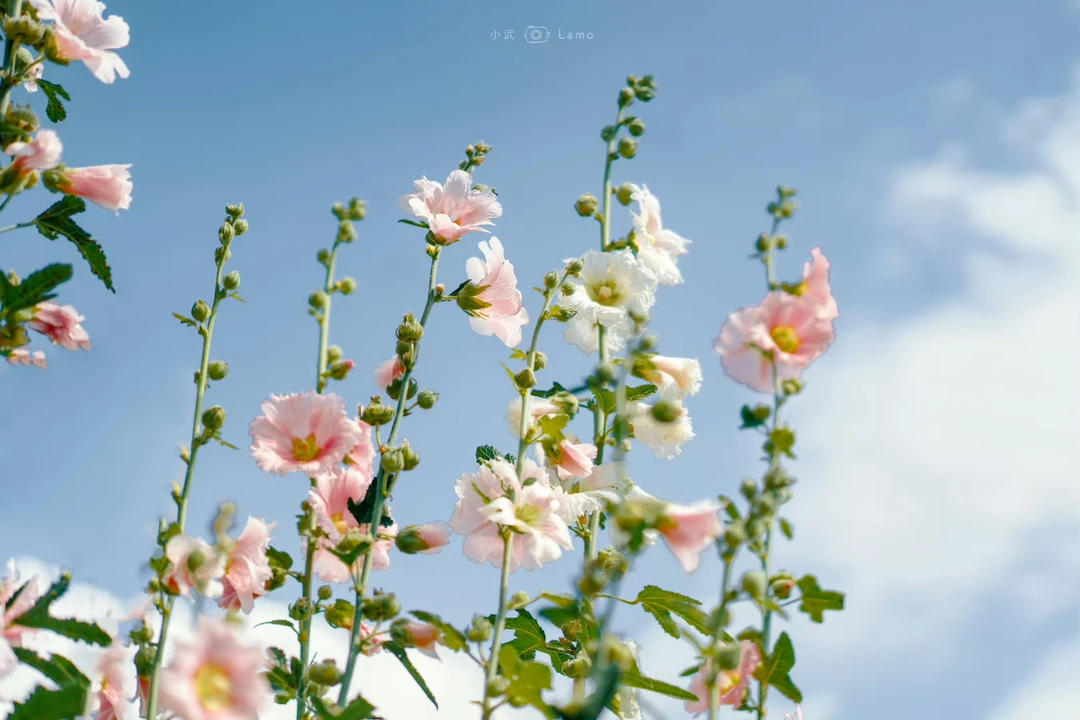 CHEN一服饰89-99-109 no退no换孤品上衣