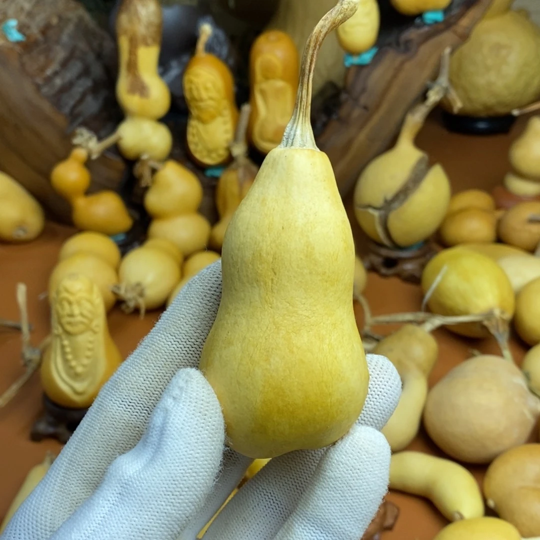 K***I教练咯教练咯教练咯