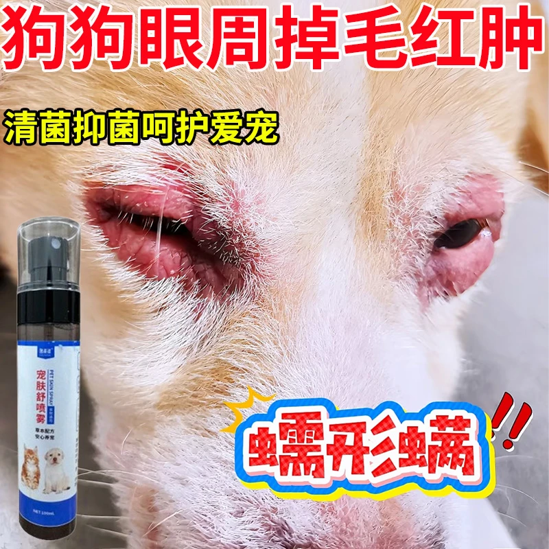 狗狗眼周红肿掉毛溃烂化脓问题专用喷剂防止蠕形螨真菌细菌不刺激