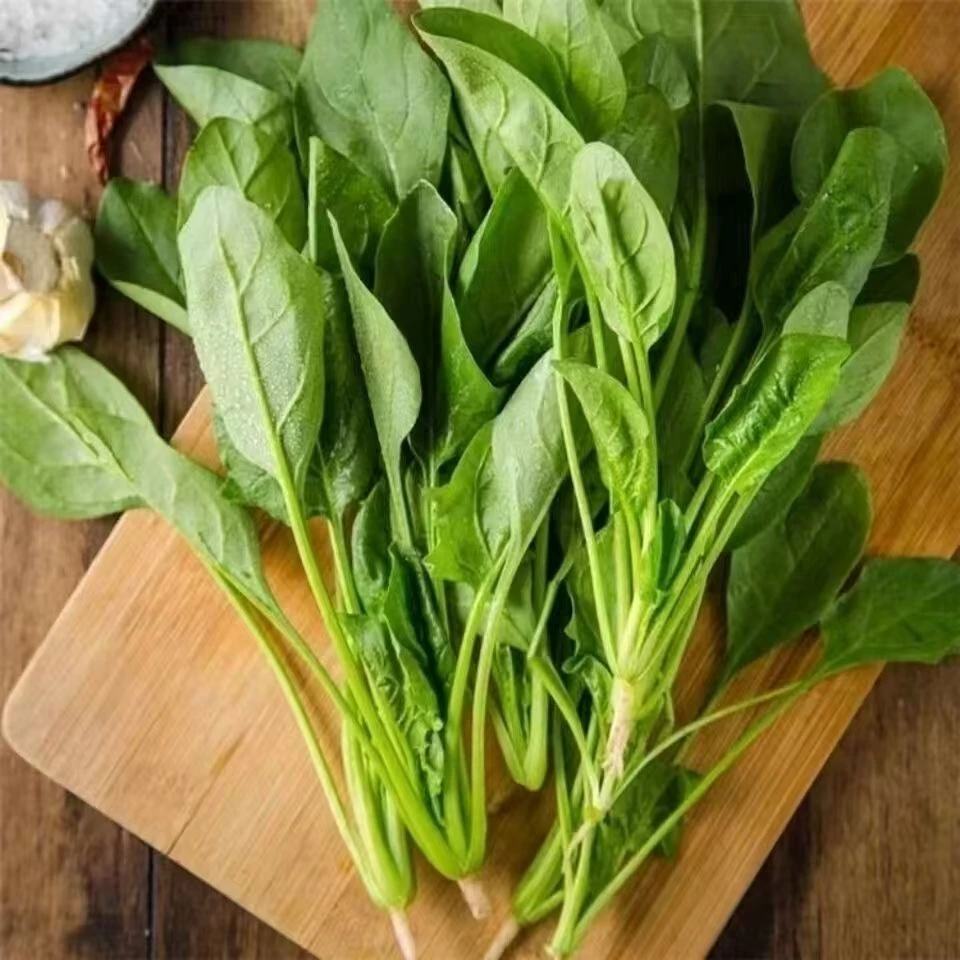 新鲜大叶菠菜250g±25g菠菜