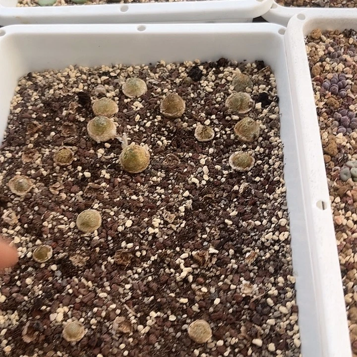 至少10个灯泡打包包邮