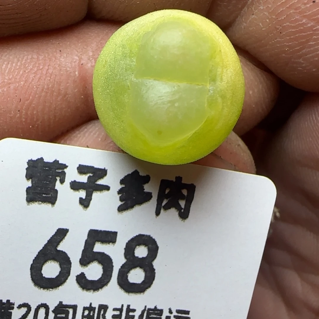 拉登1.4。