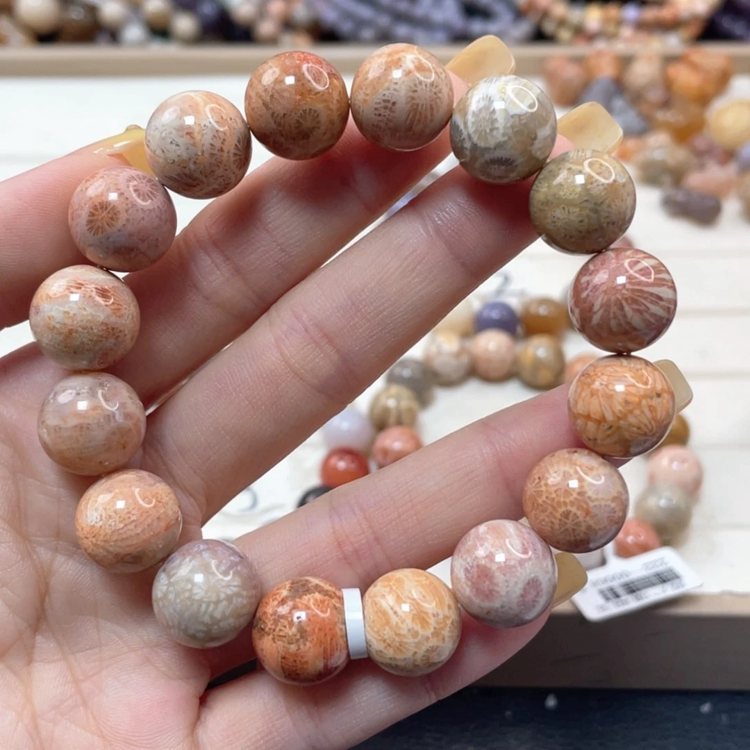 未镶嵌手链硅化珊瑚（珊瑚玉）正**见206