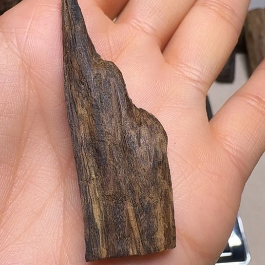 静水静水文莱软丝2.9克！！！！