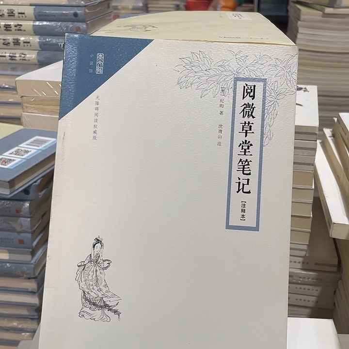 正版微瑕阅微福利品