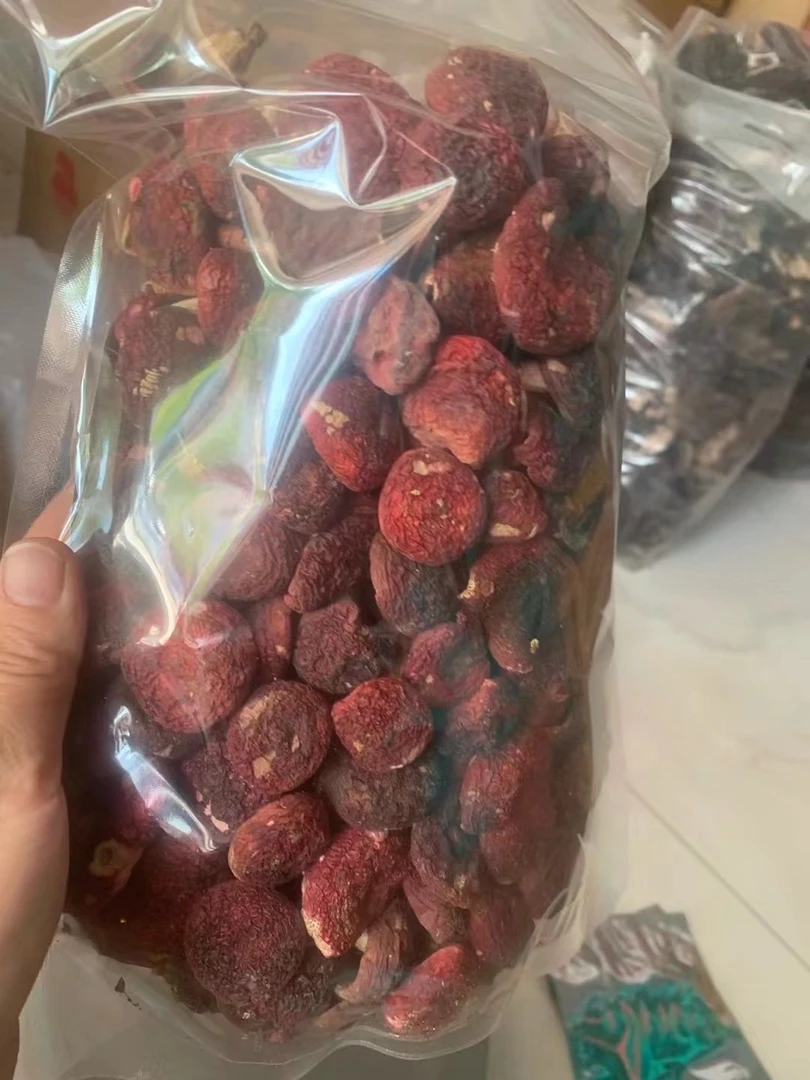 福建红菇干货菇丁小菇蕾小红菇250g