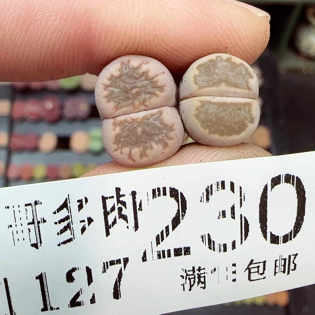 满满18包邮1127-230