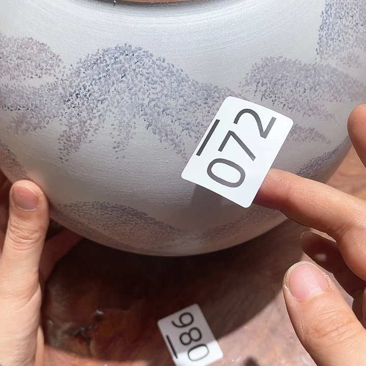 瓷片大美玲好物分享优选推荐