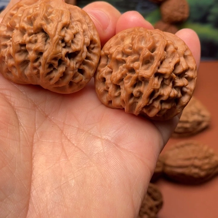 卷***刀核桃秦核等人的故事也是一