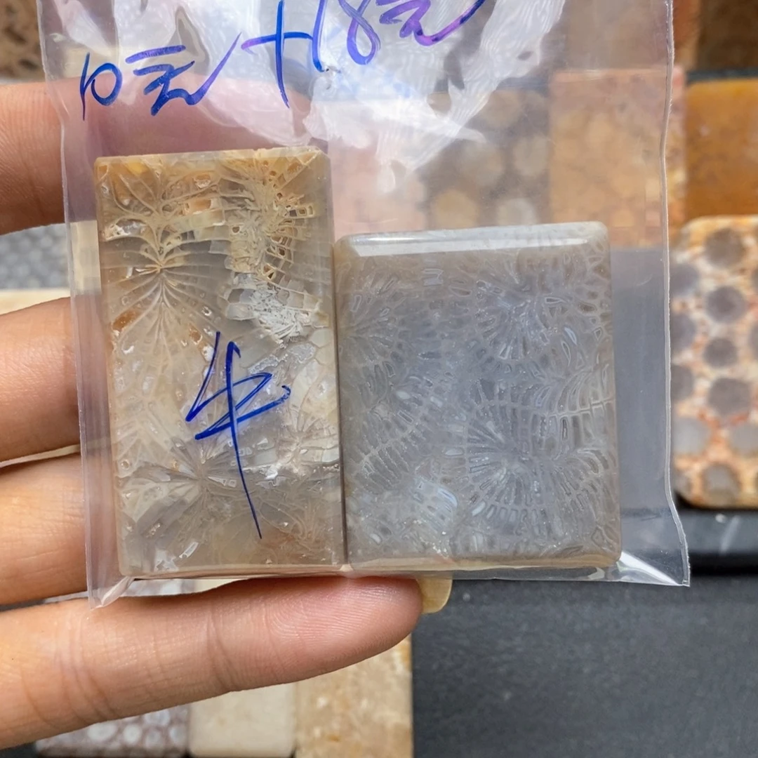 ****=颈饰未镶嵌硅化珊瑚（珊瑚玉）