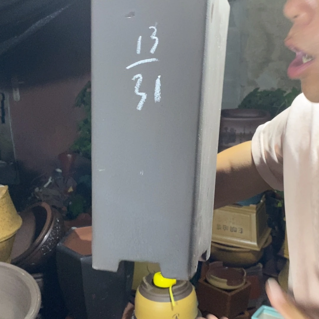 紫砂紫砂紫砂紫砂