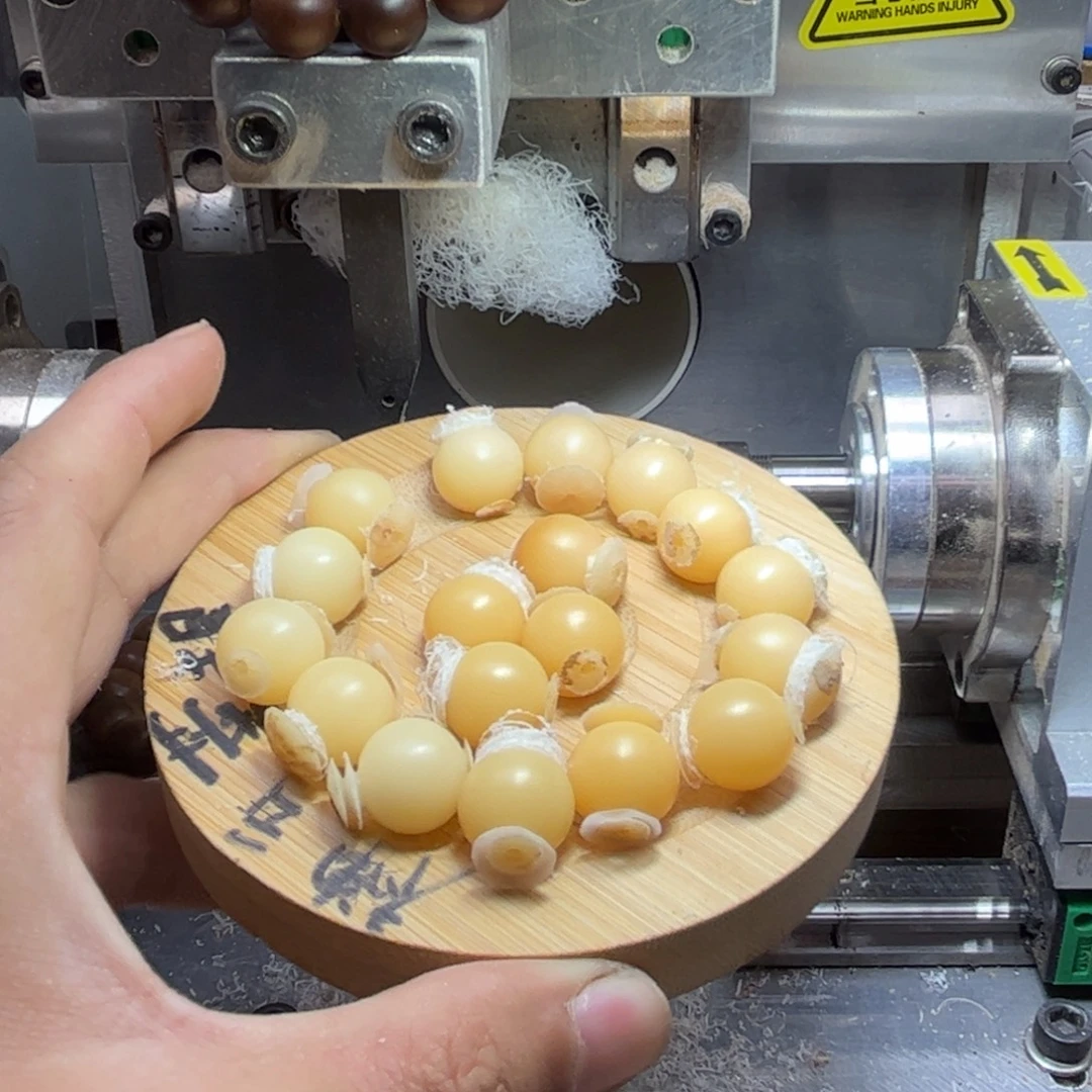 吊坠菩提根/象牙果