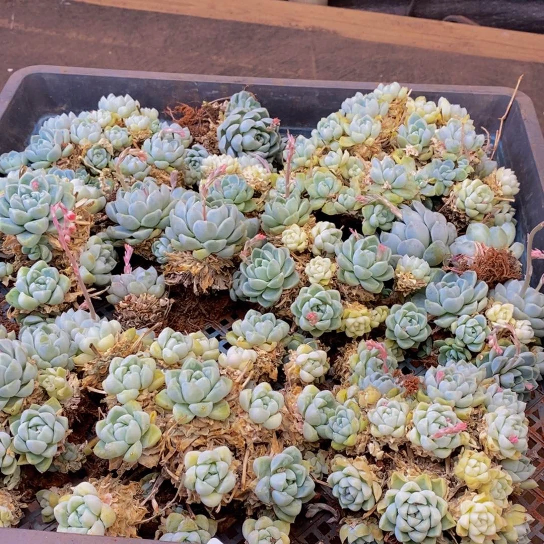 210的人在一起的时候就会觉得自己