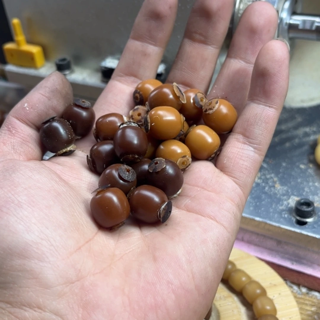 协***调菩提根/象牙果手串