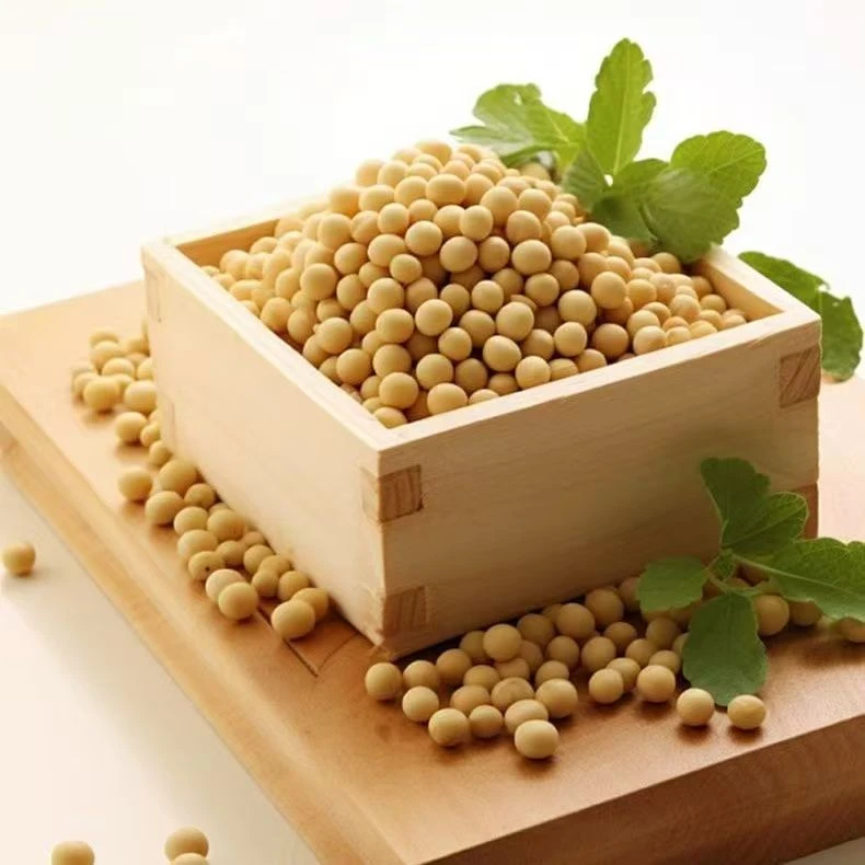 当年从土地整出来的黄豆