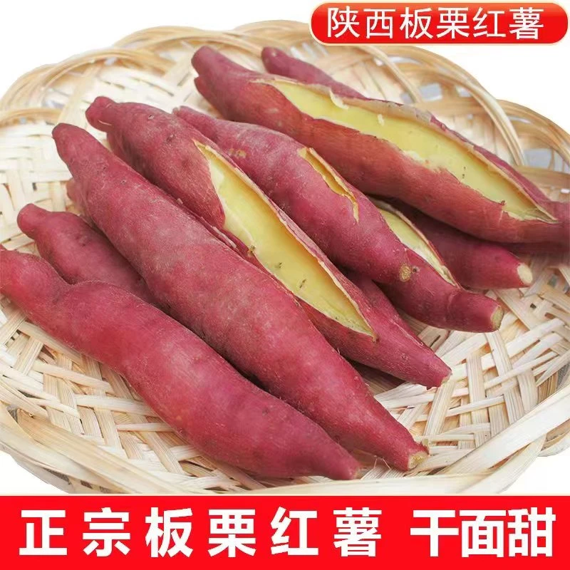 陕西正宗沙地板栗红薯软糯香甜干面现挖现发2-5斤包邮