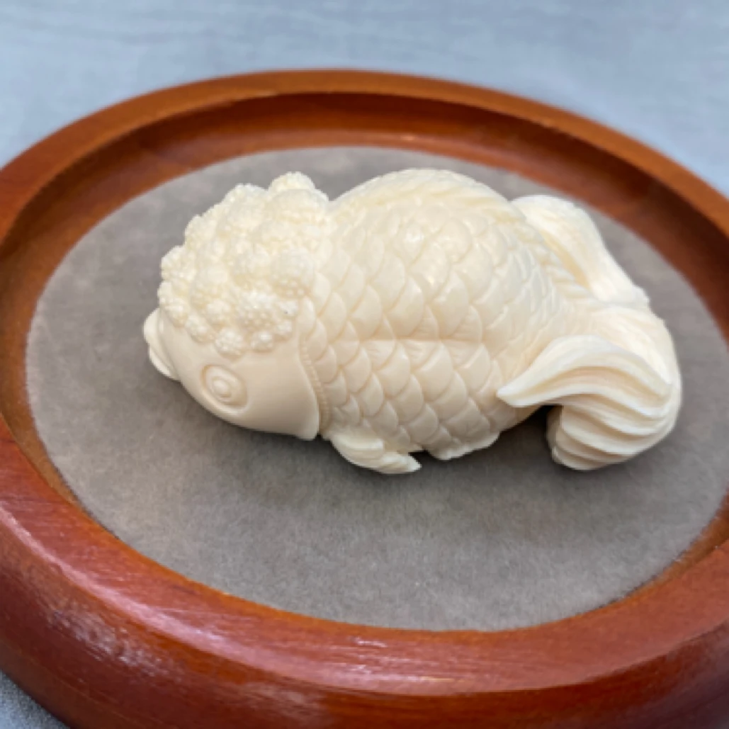 精品猛犸牙小金鱼