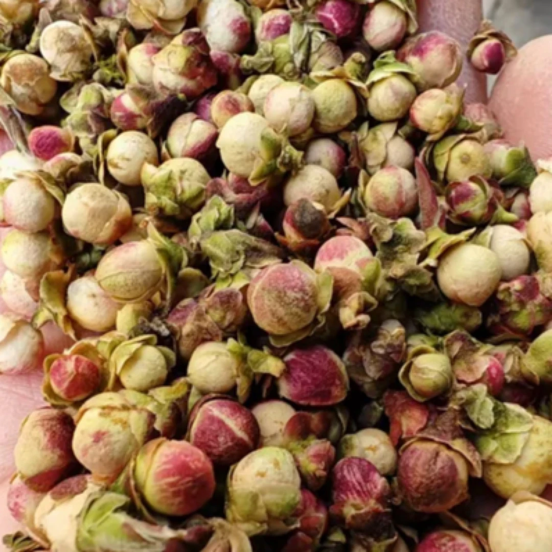 云南野生白茶《紫芽苞花苞》
