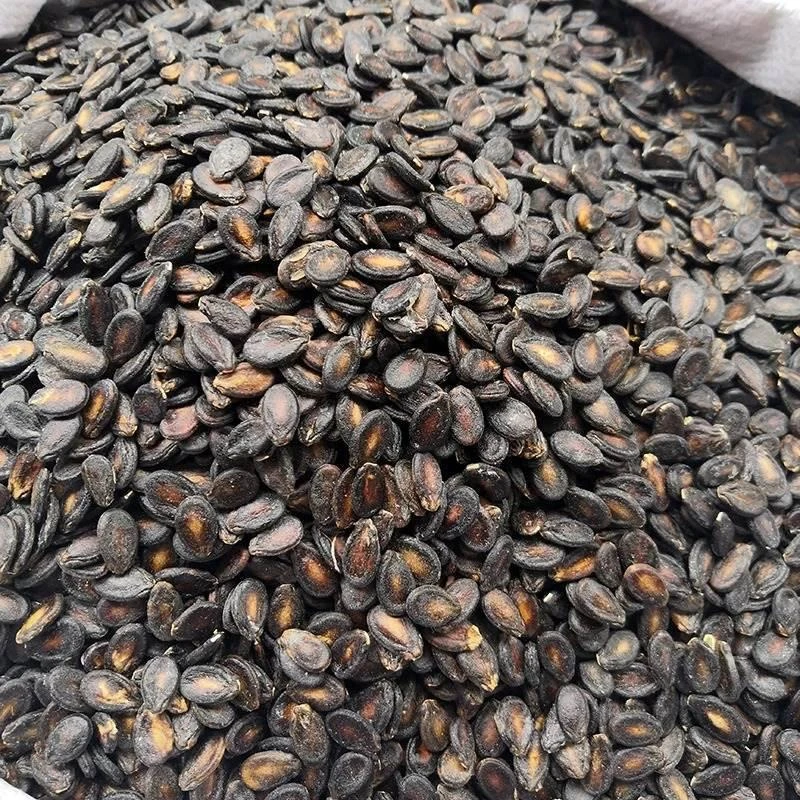 新货小片生西瓜子安庆宿松特产许岭马陵打瓜子黑西瓜子包邮