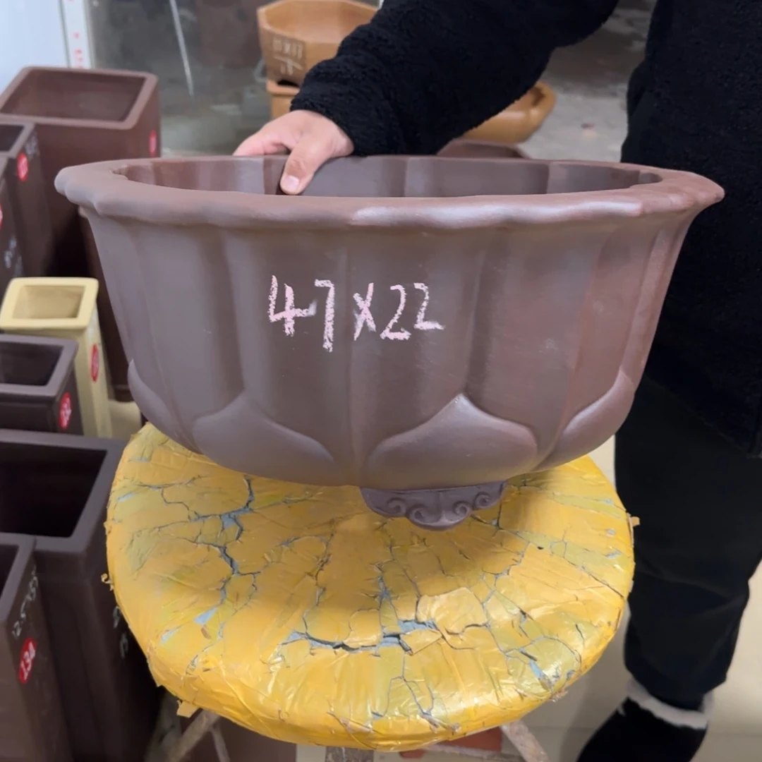 紫砂花盆我呜呜呜呜呜呜