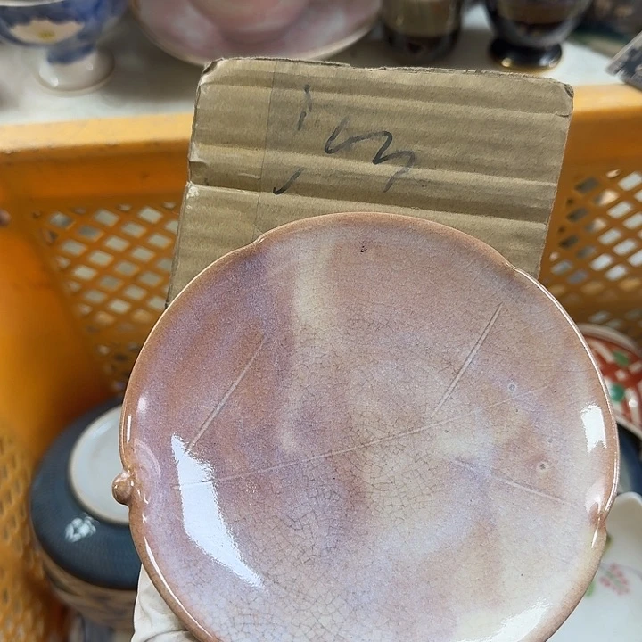 碟开播啦….开播啦