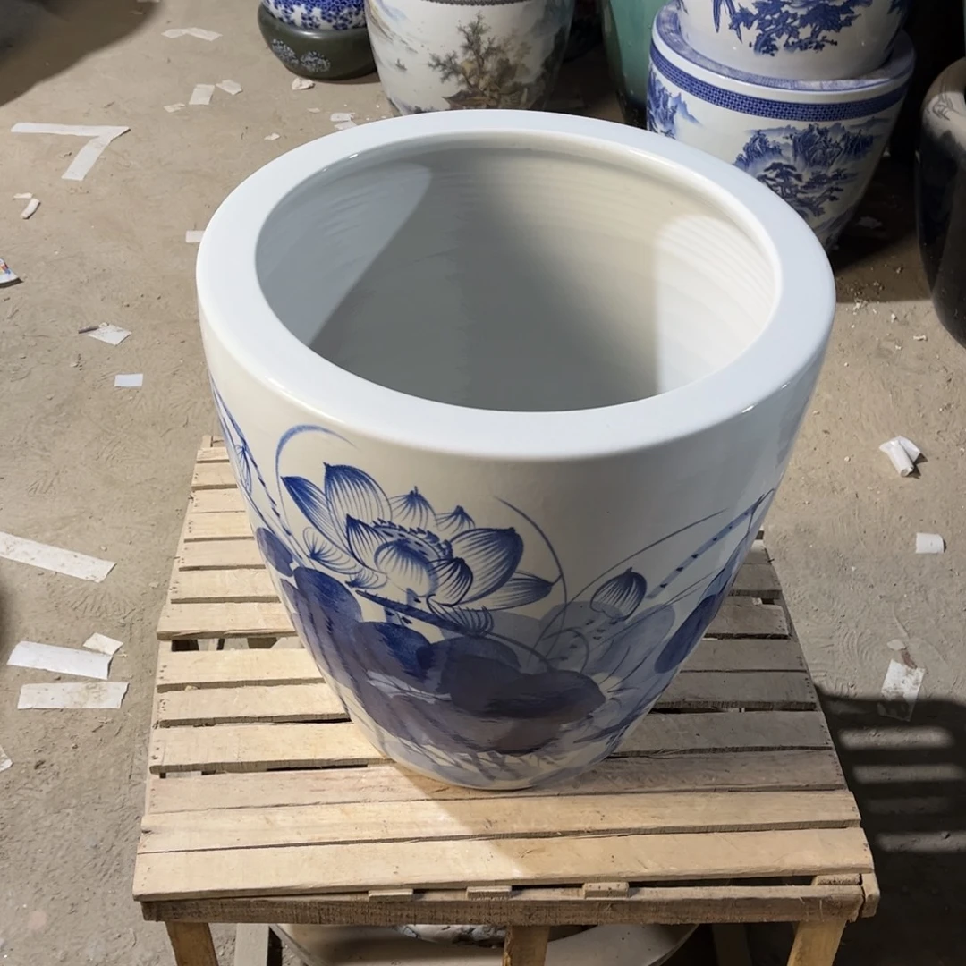 瓷片兰荷花43高度43.8888