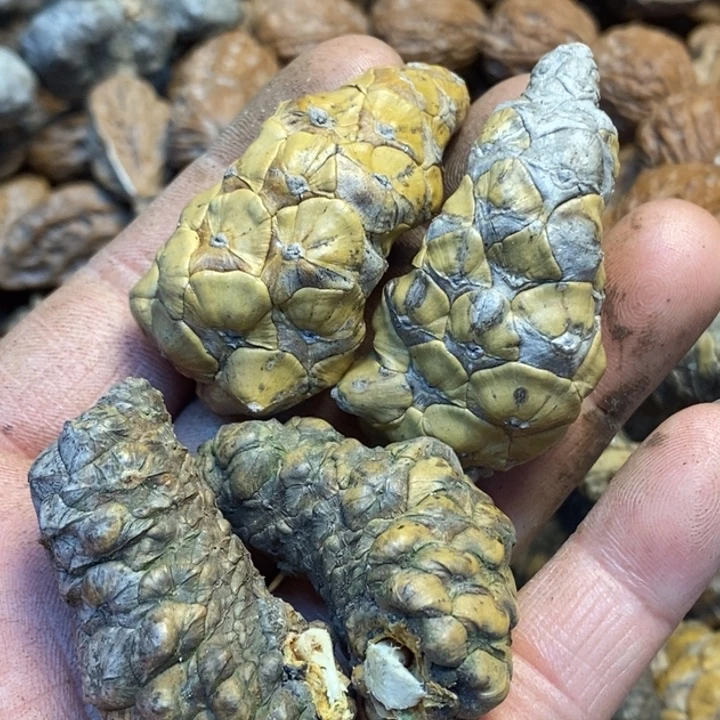 吊坠桃核娜姐真的152