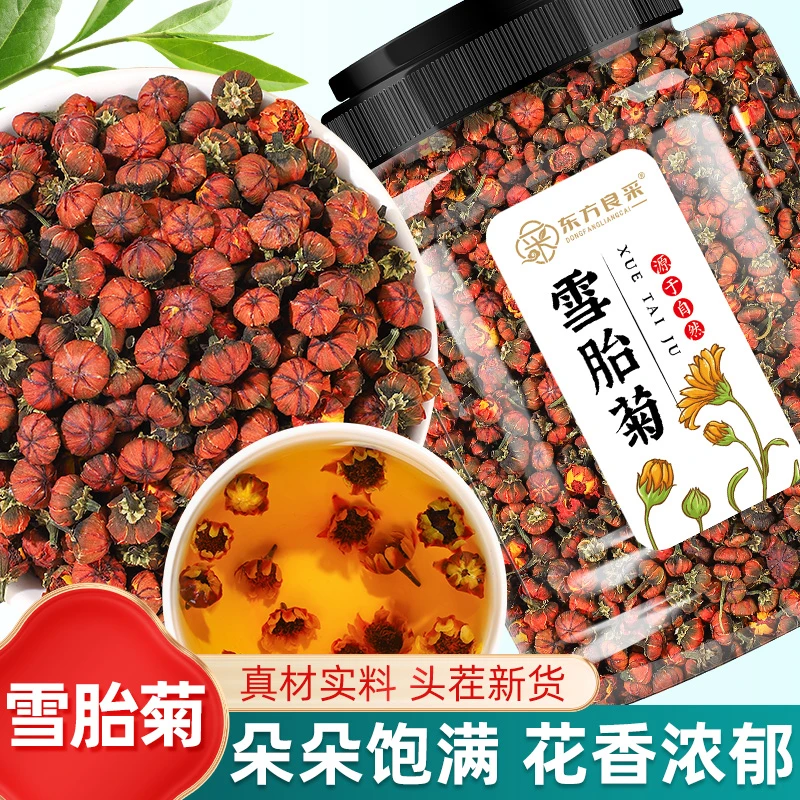 昆仑雪胎菊新疆高海拔采摘雪胎菊泡水血胎菊无染无硫罐装泡水花茶