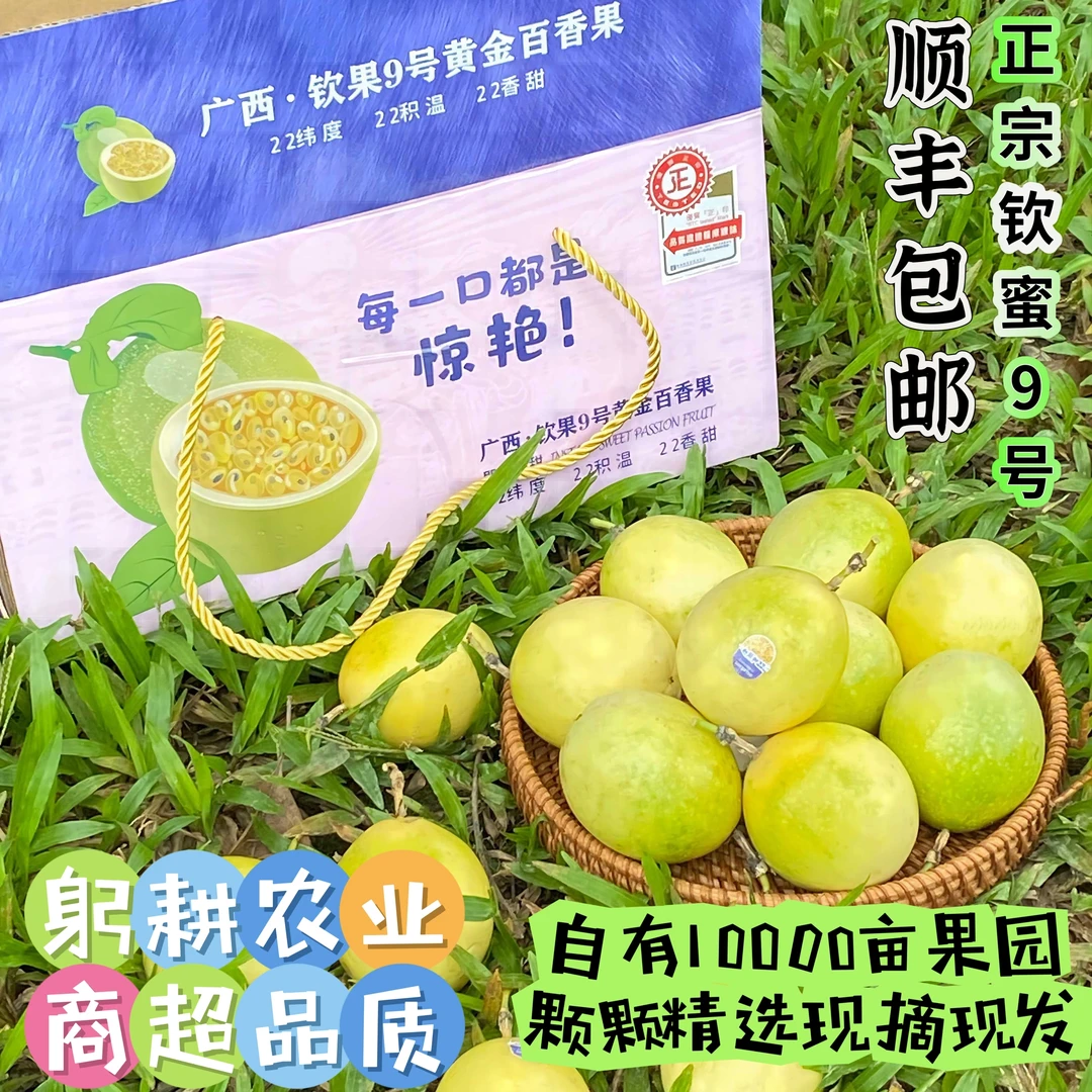 【顺丰京东专拍】 钦蜜9号百香果 基地现摘现发 香甜多汁 坏果包赔