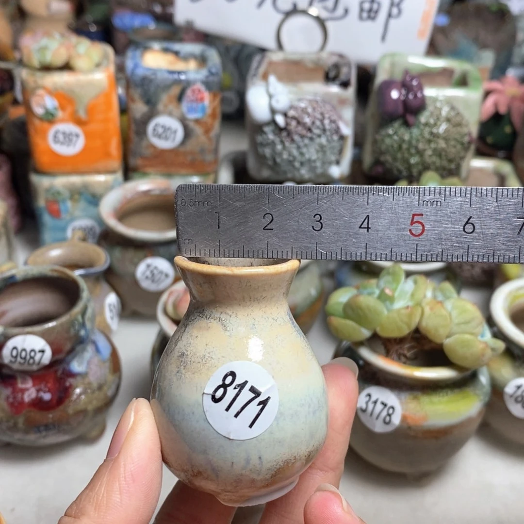 拍5送一个小礼物