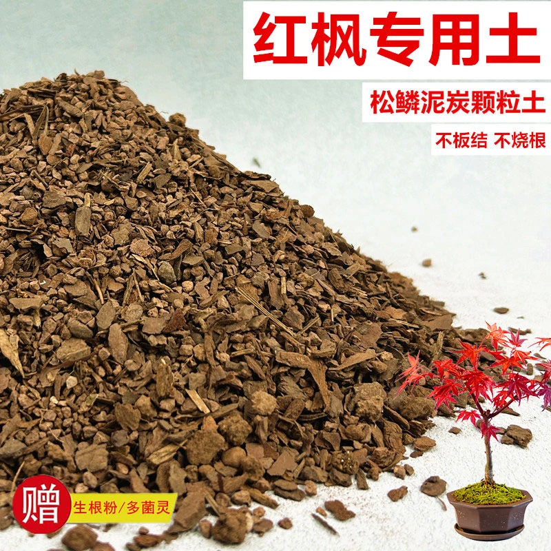 红枫专用土花土赤玉土风化土盆栽盆景营养土酸性沙质土种植土