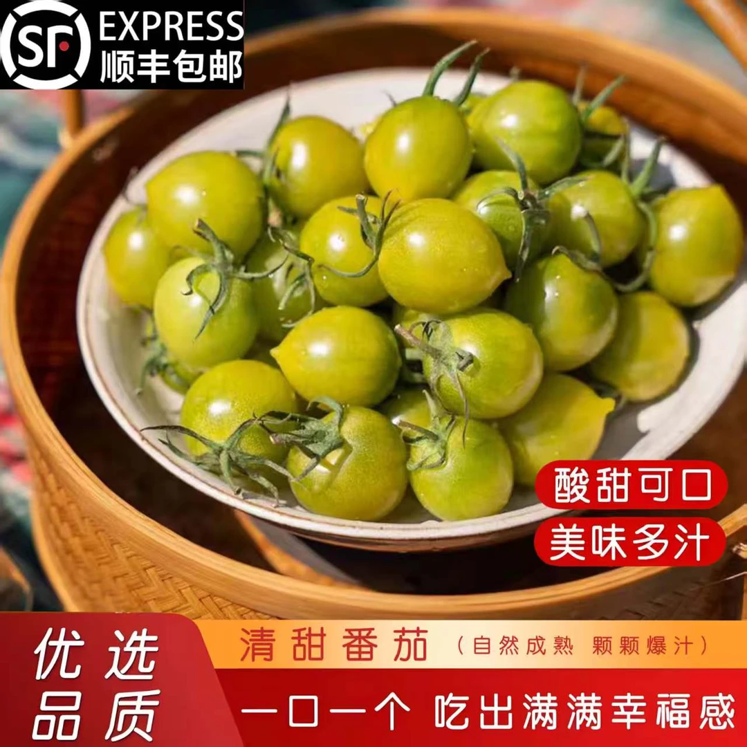 3斤[青甜小番茄]口感纯甜顺丰包邮山东发货