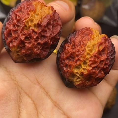 文玩核桃把件40尺珊瑚绣球