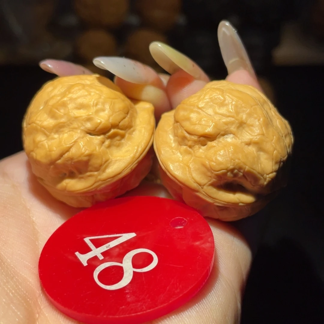 云***客金刚鹦鹉32尺寸核桃