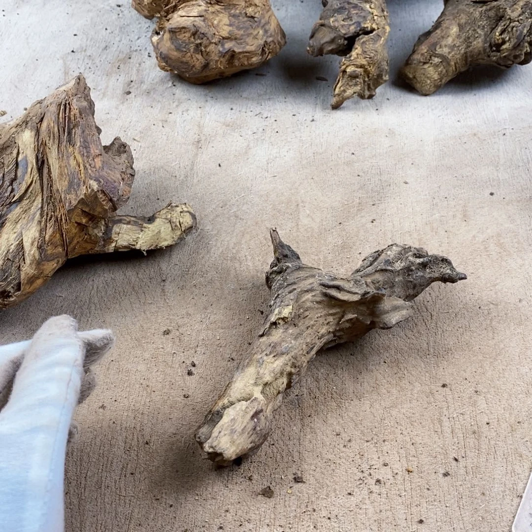 木***人黄花梨/降香黄檀降香黄檀黄花梨