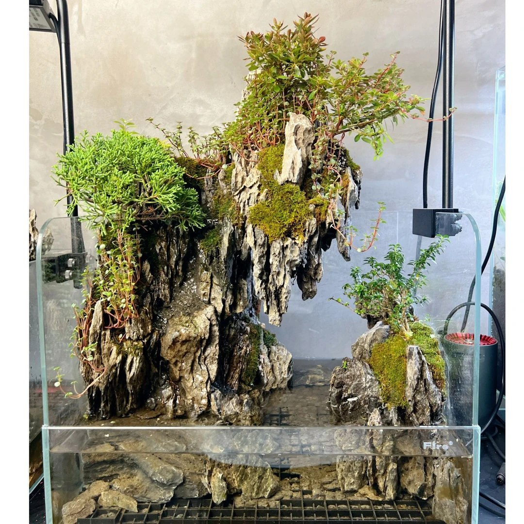 40cm成品桌面青龙石景观水陆缸可养鱼